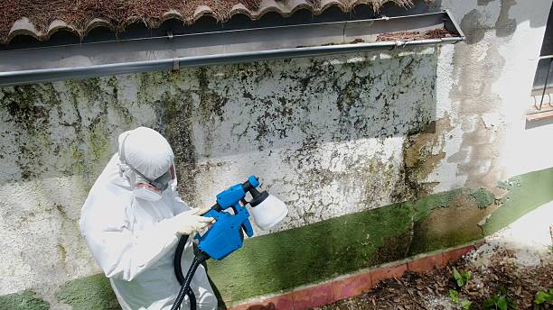 Top rated local Mold Remediation specialists in Greenbrier, TN